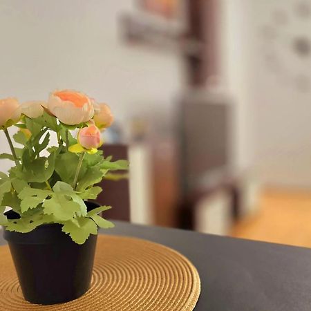 Apartament Confort Hd Hunedoara Exteriér fotografie