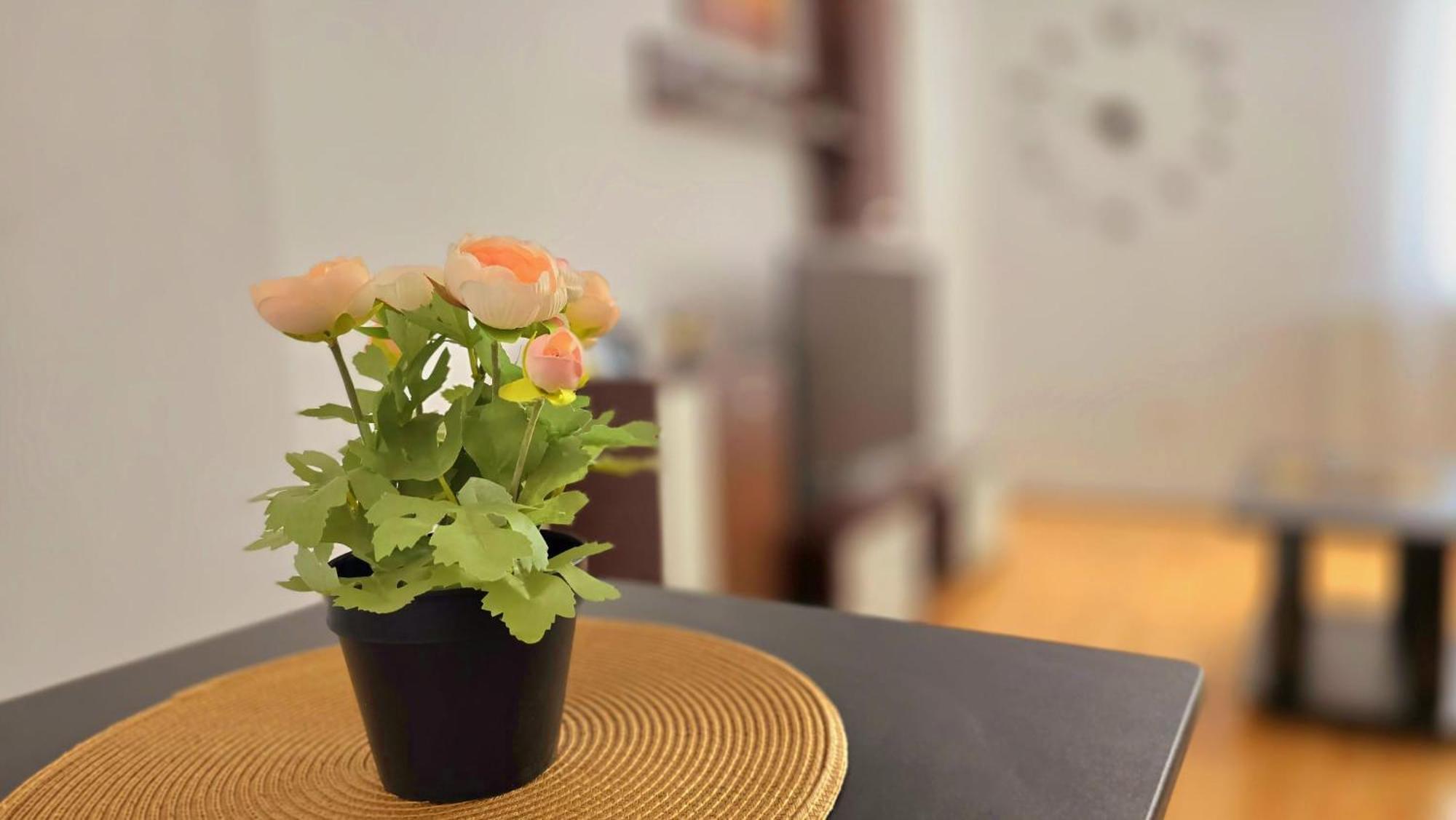Apartament Confort Hd Hunedoara Exteriér fotografie